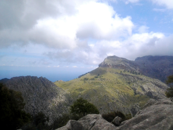 photo 1009339