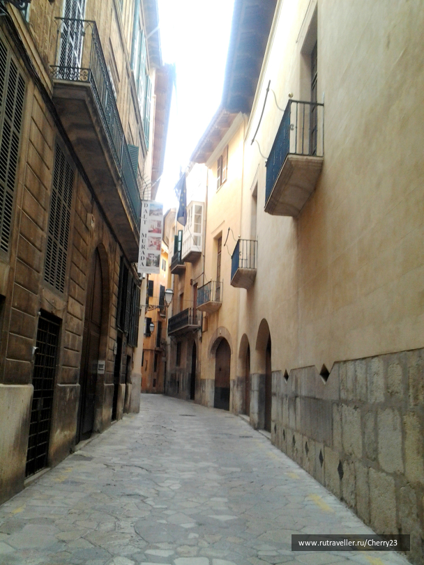 photo 1009343