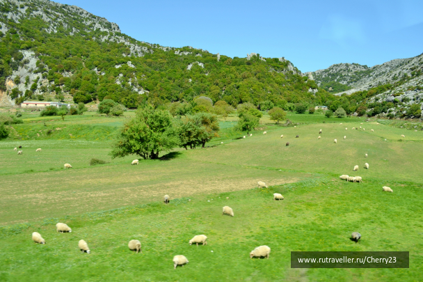 photo 1043515