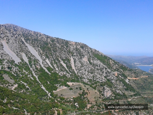 photo 1043529