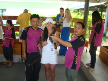 photo 252349