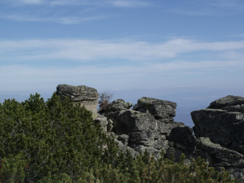 photo 67680