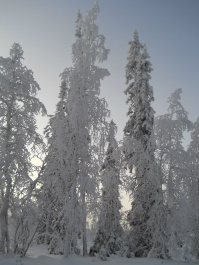 photo 68308