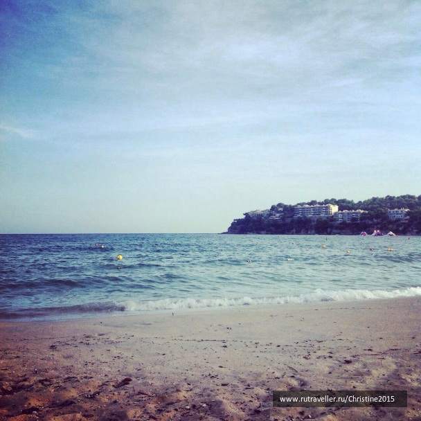 photo 1140866