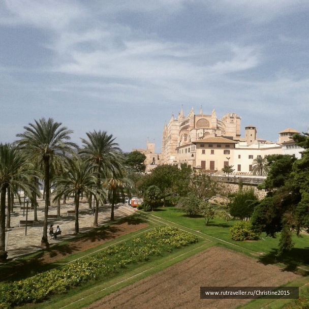 photo 1140875
