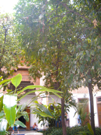 photo 425574