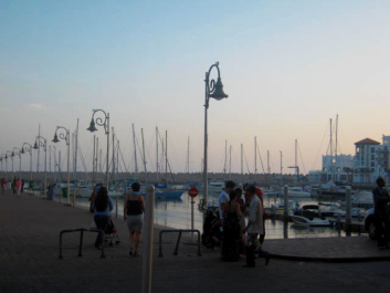 photo 425588