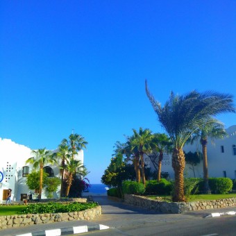 Неразобранное