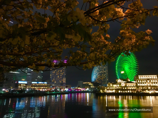 photo 1459868