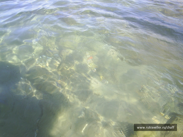 photo 431183
