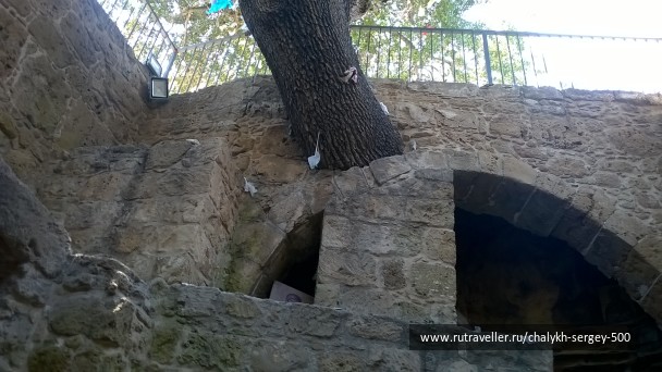 photo 1355298