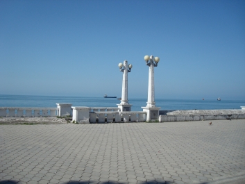 photo 671874