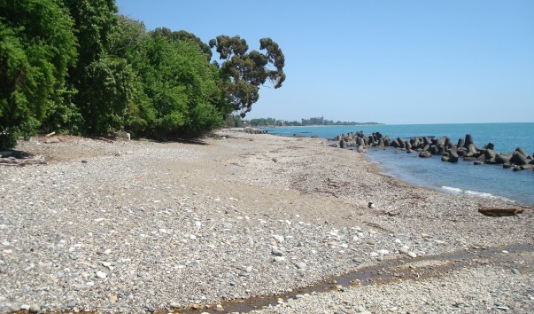 DSC04804