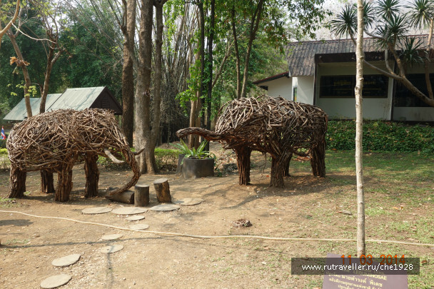 photo 699980