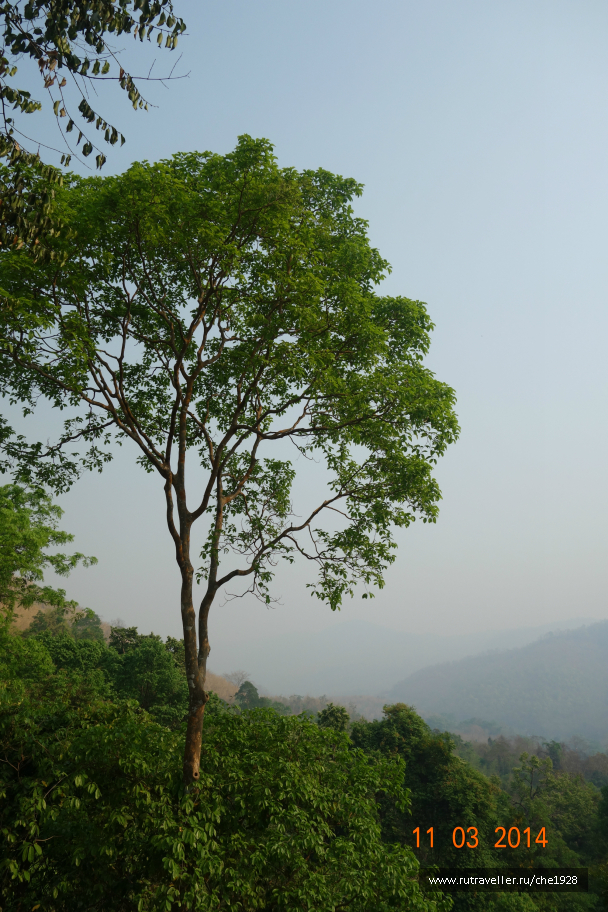 photo 699982
