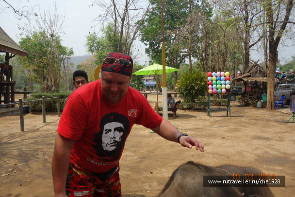 photo 699999