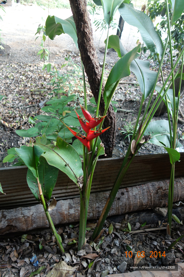 photo 700013