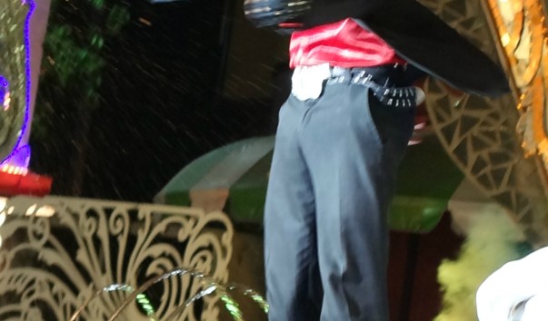 DSC02650