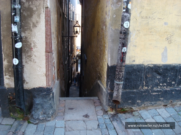 photo 824628