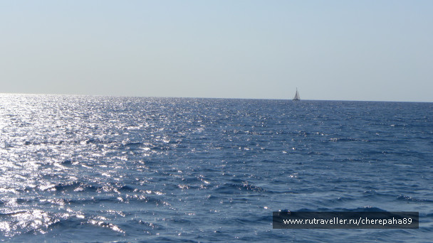 photo 1255802