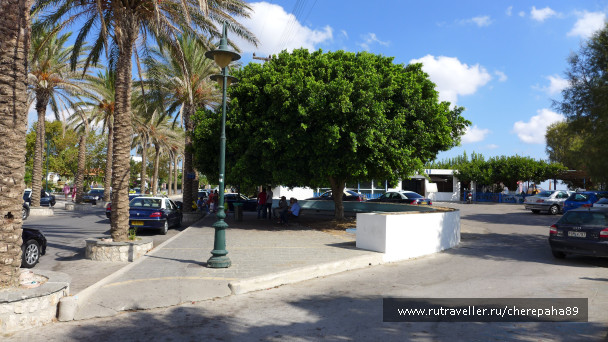 photo 1255857