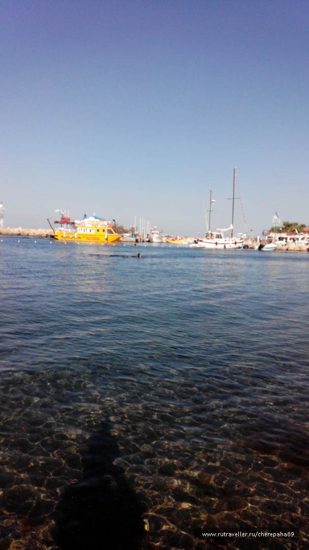 photo 1281343