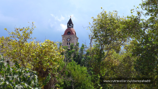 photo 1295883