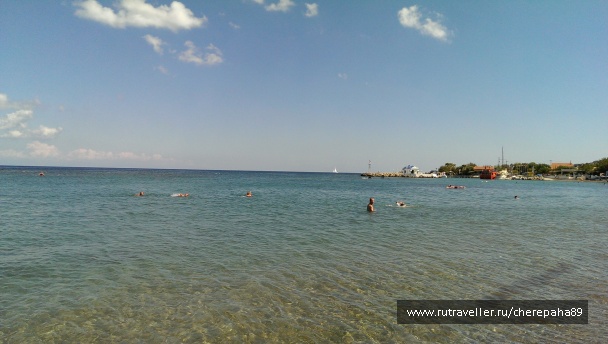 photo 1317037