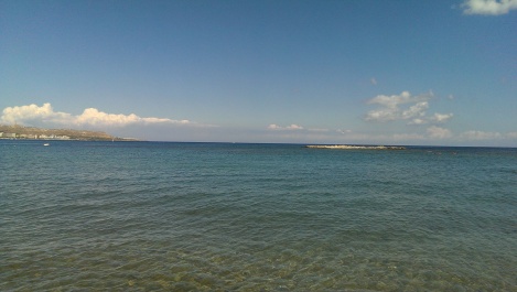 photo 1317038