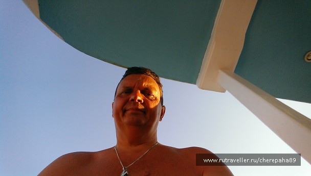 photo 1376949