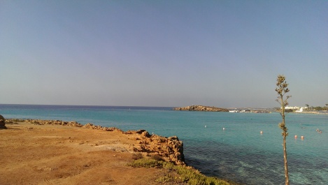 photo 1333757