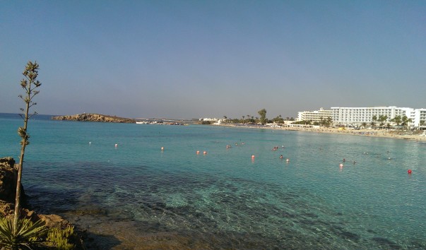 IMAG1186