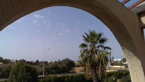 photo 1123231
