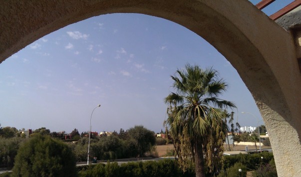 IMAG1264