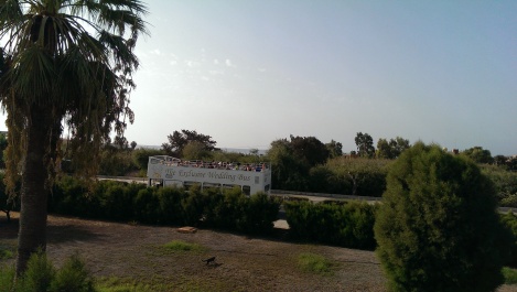 photo 1123233