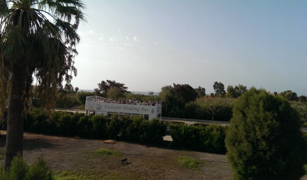 IMAG1255