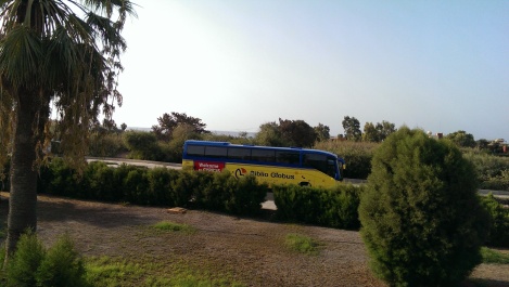 photo 1123235