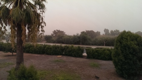 photo 1123248