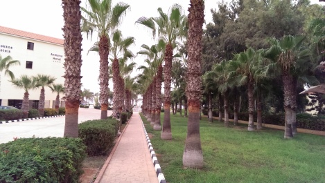 photo 1123251