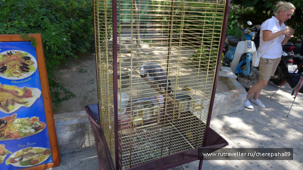photo 1571031