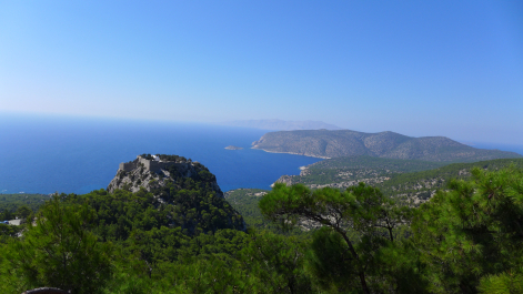 photo 1615156