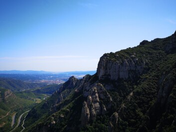 photo 2102578