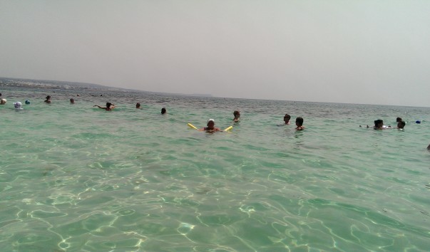 IMAG1022