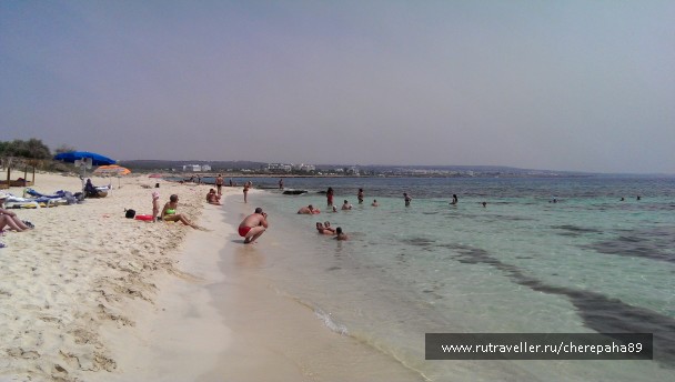 photo 1562810