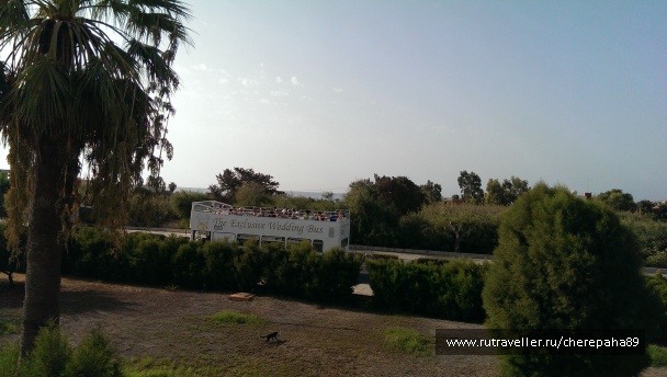 photo 1572775