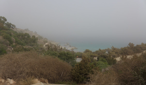 P1000915