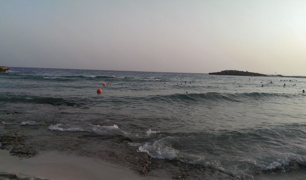 IMAG1153