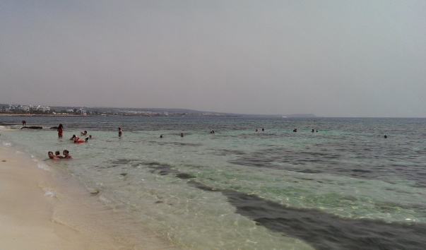 IMAG1035
