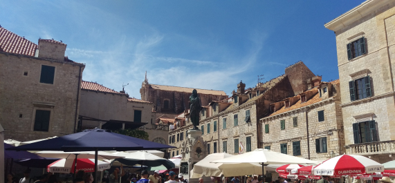 photo 1815955