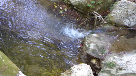 photo 1277693